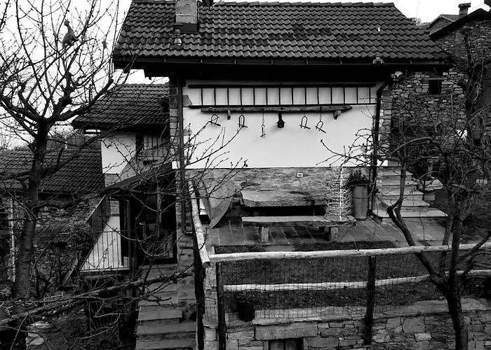 Nini * 카네로 리비에라